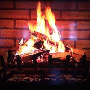 Meet your Posher, Sylvia